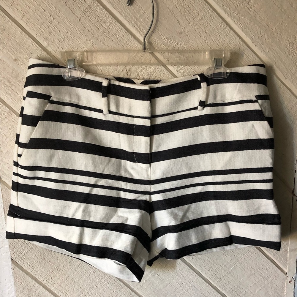New York & Co. navy and white shorts